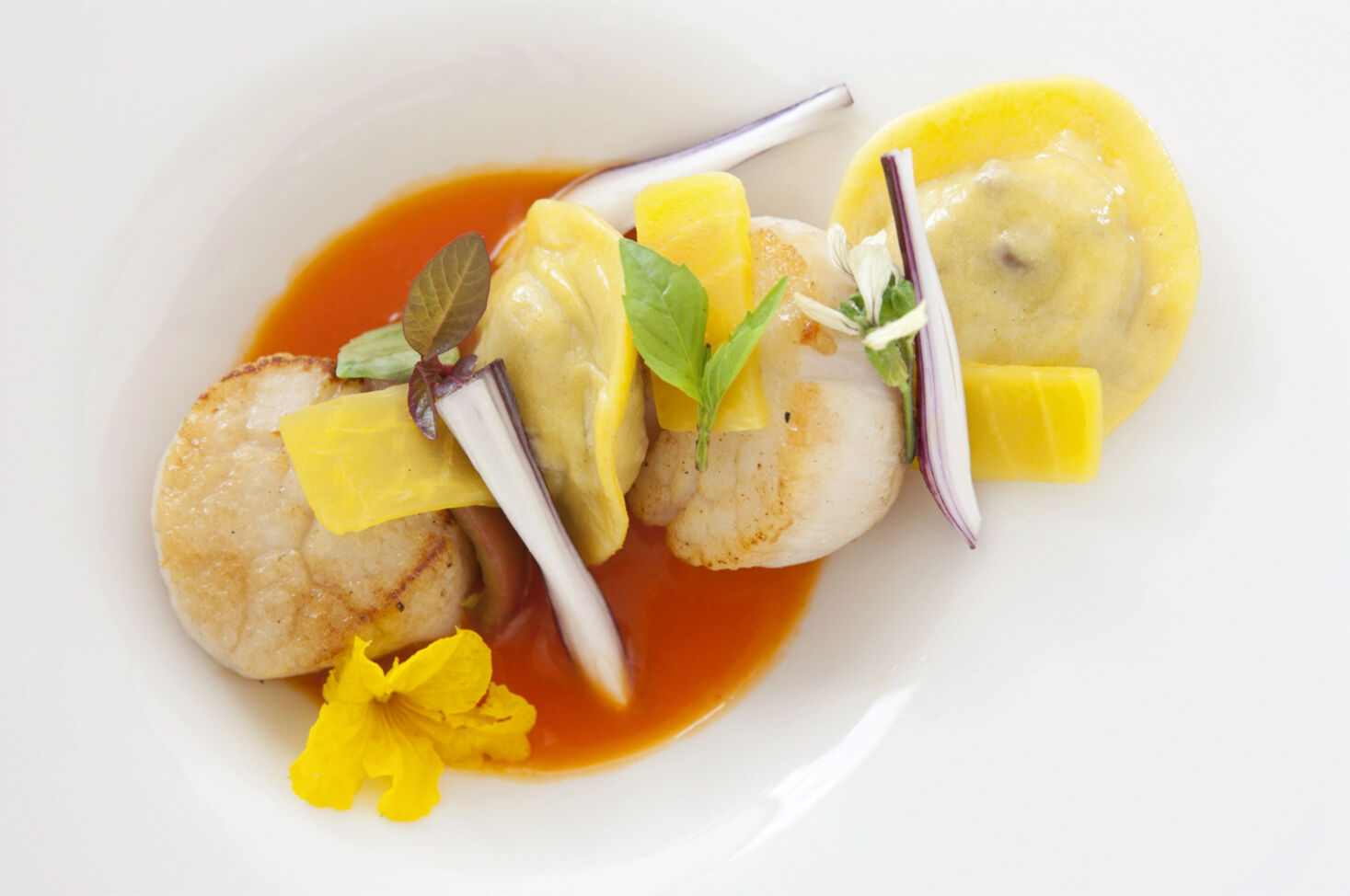 scallops